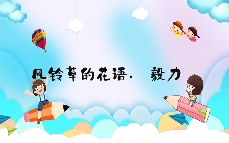 风铃草的花语  毅力 